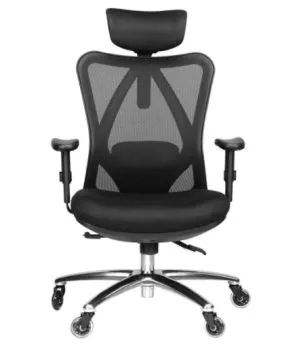 Duramont Ergonomic Office Chair Adjustable Desk Chair with Lumbar Support and Rollerblade Wheels