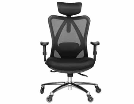 Duramont Ergonomic Office Chair - Adjustable Desk Chair with Lumbar Support